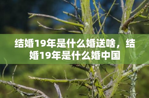 结婚19年是什么婚送啥，结婚19年是什么婚中国