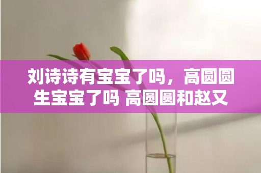 刘诗诗有宝宝了吗，高圆圆生宝宝了吗 高圆圆和赵又廷育有一女