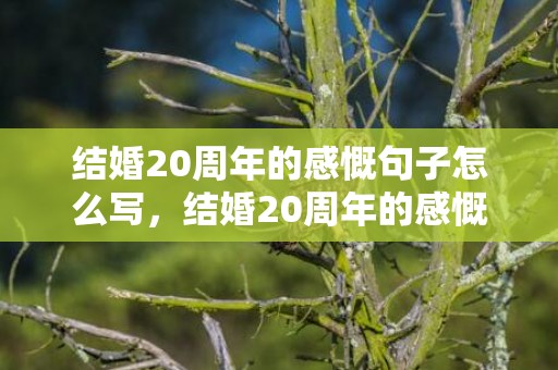 结婚20周年的感慨句子怎么写，结婚20周年的感慨句子