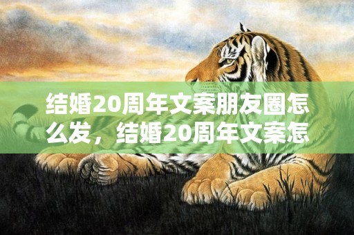 结婚20周年文案朋友圈怎么发，结婚20周年文案怎么写好