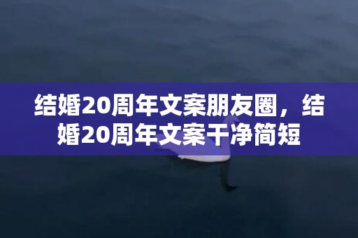 结婚20周年文案朋友圈，结婚20周年文案干净简短