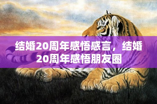 结婚20周年感悟感言，结婚20周年感悟朋友圈