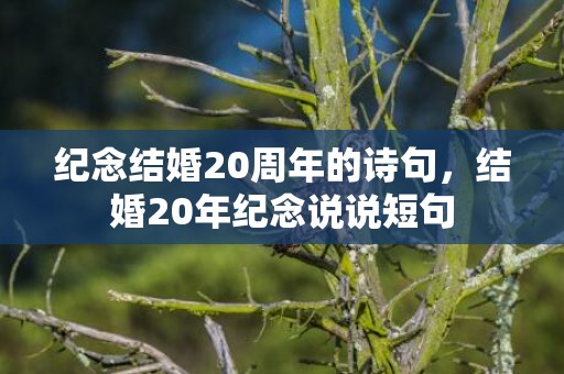 纪念结婚20周年的诗句，结婚20年纪念说说短句