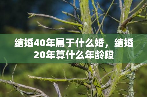 结婚40年属于什么婚，结婚20年算什么年龄段