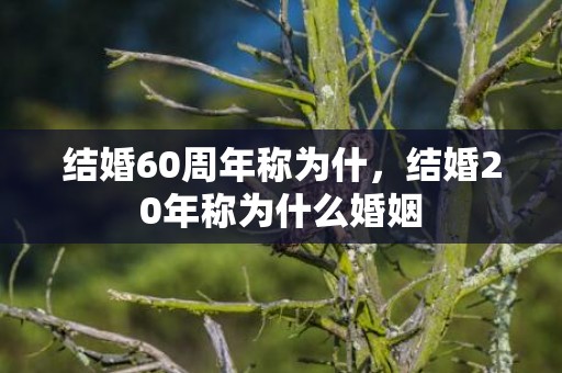 结婚60周年称为什，结婚20年称为什么婚姻