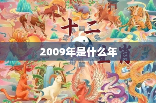 2009年是什么年