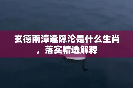 玄德南漳逢隐沦是什么生肖，落实精选解释