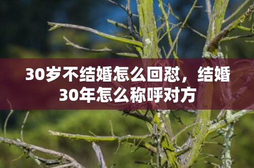 30岁不结婚怎么回怼，结婚30年怎么称呼对方