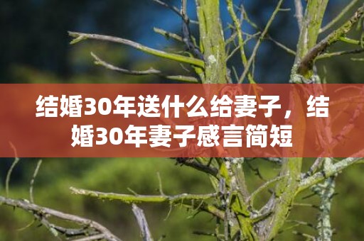 结婚30年送什么给妻子，结婚30年妻子感言简短