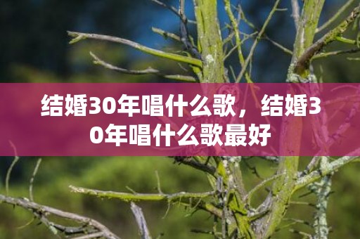 结婚30年唱什么歌，结婚30年唱什么歌最好