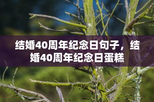 结婚40周年纪念日句子，结婚40周年纪念日蛋糕