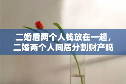 二婚后两个人钱放在一起，二婚两个人同居分割财产吗（二婚男女同居到底谁吃亏）