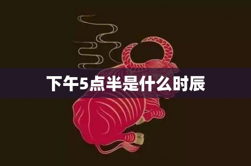 下午5点半是什么时辰