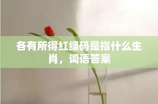 各有所得红绿码是指什么生肖，词语答案