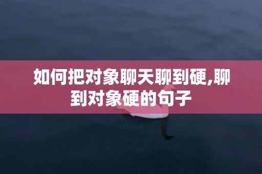 如何把对象聊天聊到硬,聊到对象硬的句子