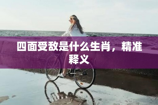 四面受敌是什么生肖，精准释义