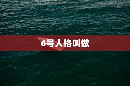 6号人格叫做