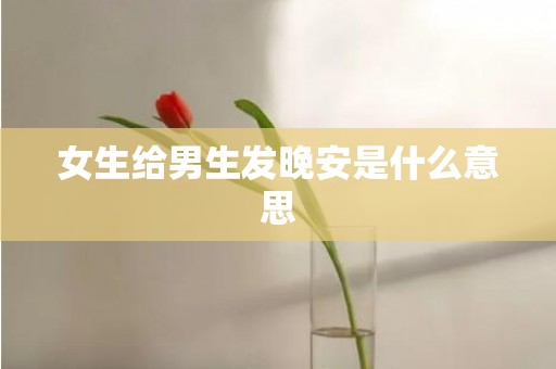 女生给男生发晚安是什么意思