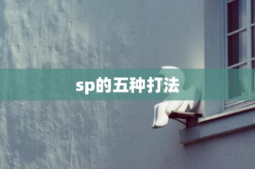 sp的五种打法