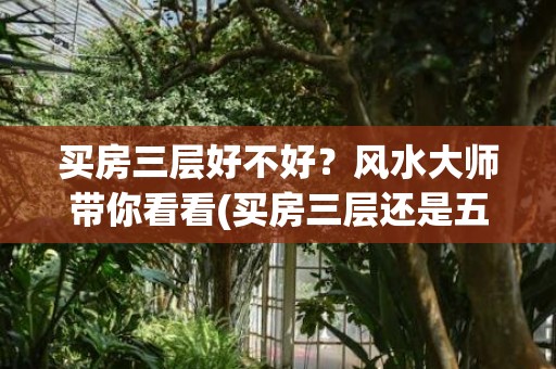 买房三层好不好？风水大师带你看看(买房三层还是五层好)