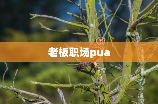 老板职场pua