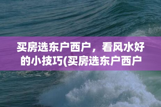 买房选东户西户，看风水好的小技巧(买房选东户西户)