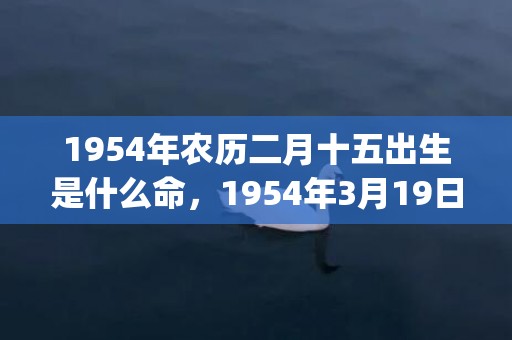 1954年农历二月十五出生是什么命，1954年3月19日八字命理解析(1954年农历二月初九是多少号)