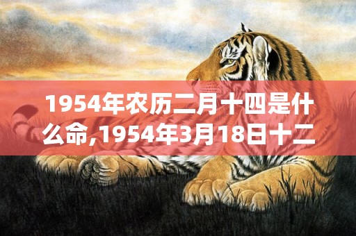 1954年农历二月十四是什么命,1954年3月18日十二时辰出生命运解析(1954年农历二月十五是什么星座)