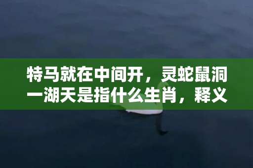 特马就在中间开，灵蛇鼠洞一湖天是指什么生肖，释义解答