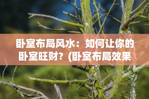 卧室布局风水：如何让你的卧室旺财？(卧室布局效果图)