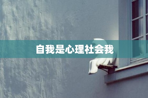 自我是心理社会我