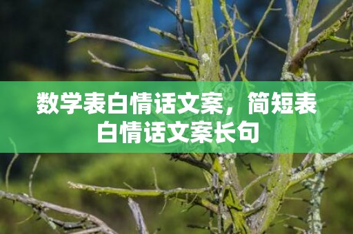 数学表白情话文案，简短表白情话文案长句