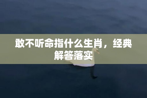 敢不听命指什么生肖，经典解答落实