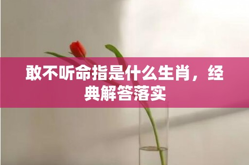 敢不听命指是什么生肖，经典解答落实