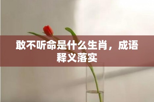 敢不听命是什么生肖，成语释义落实