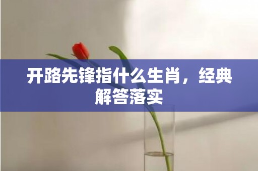 开路先锋指什么生肖，经典解答落实