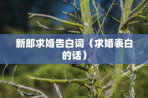 新郎求婚告白词（求婚表白的话）