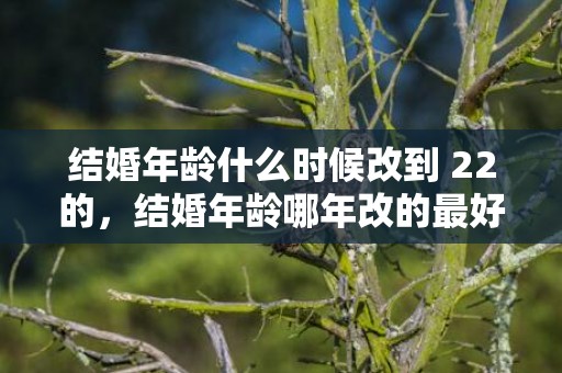 结婚年龄什么时候改到 22的，结婚年龄哪年改的最好