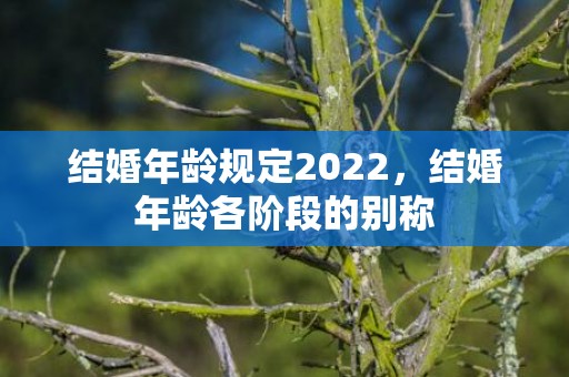 结婚年龄规定2022，结婚年龄各阶段的别称