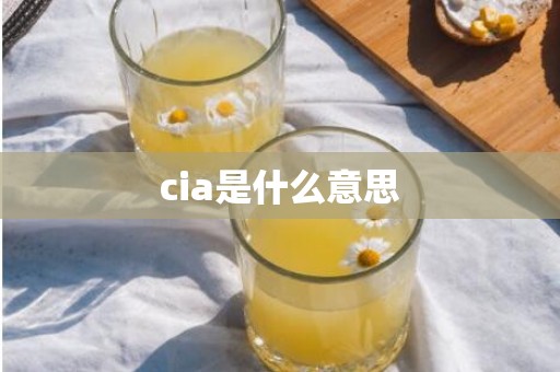 cia是什么意思