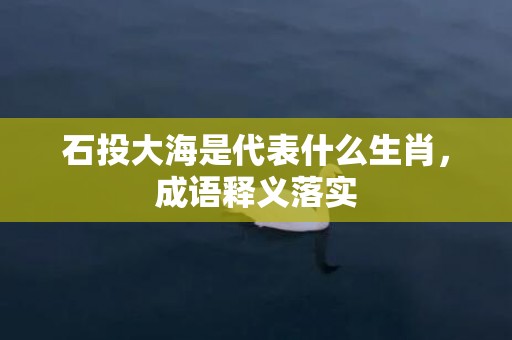 石投大海是代表什么生肖，成语释义落实