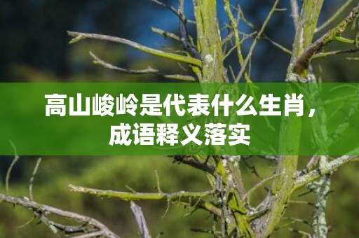 高山峻岭是代表什么生肖，成语释义落实