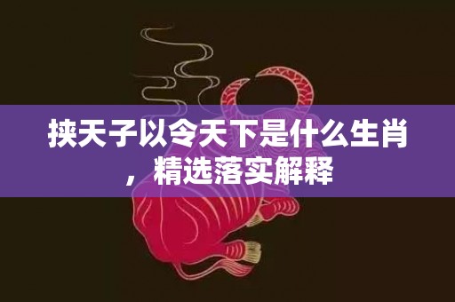 挟天子以令天下是什么生肖，精选落实解释