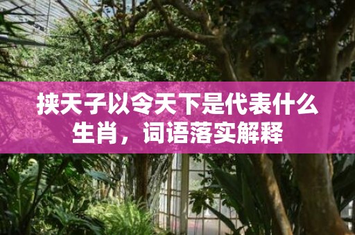 挟天子以令天下是代表什么生肖，词语落实解释