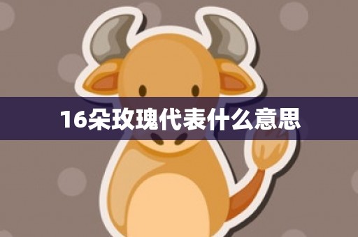 16朵玫瑰代表什么意思