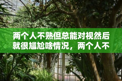 两个人不熟但总能对视然后就很尴尬啥情况，两个人不熟但总能对视代表什么？对视的两个人眼神先躲避怎么回事