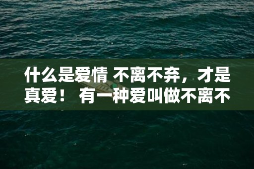 什么是爱情 不离不弃，才是真爱！ 有一种爱叫做不离不弃