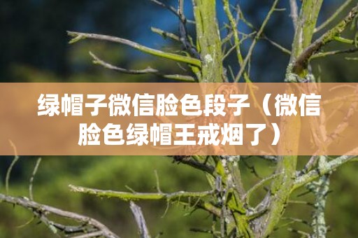 绿帽子微信脸色段子（微信脸色绿帽王戒烟了）