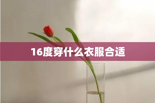 16度穿什么衣服合适