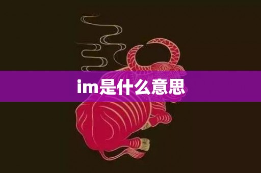 im是什么意思